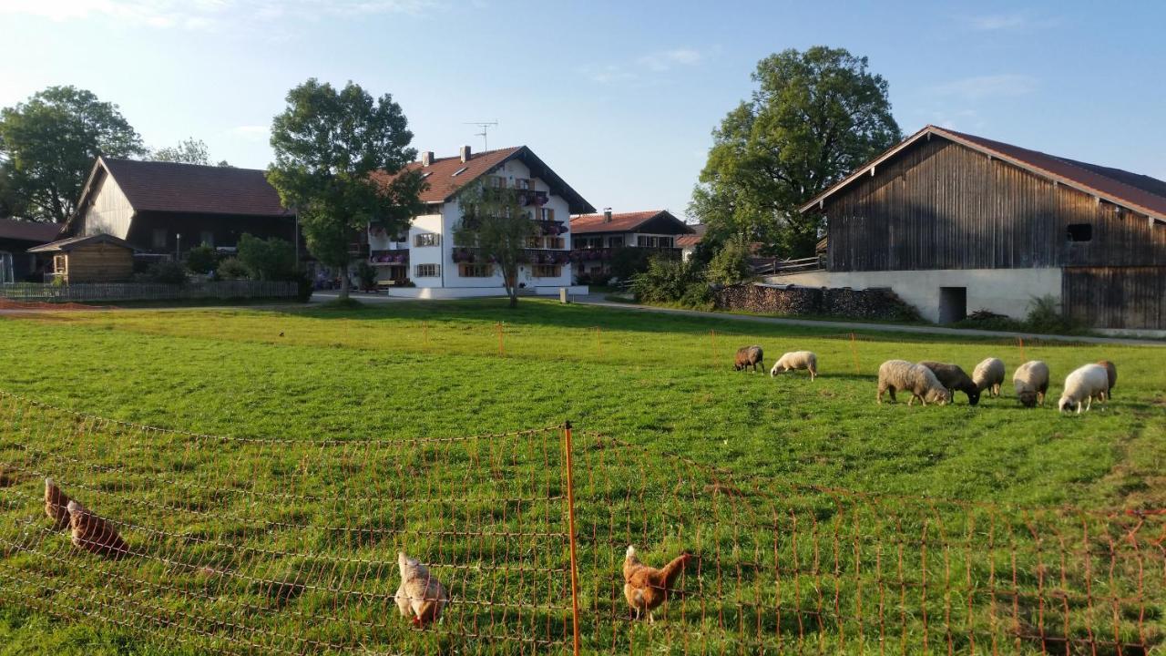Woidhauserhof Waakirchen Zewnętrze zdjęcie