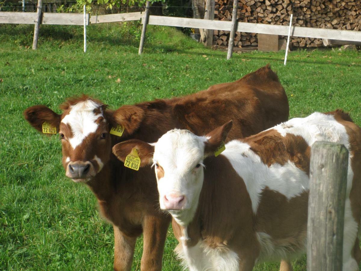 Woidhauserhof Waakirchen Zewnętrze zdjęcie